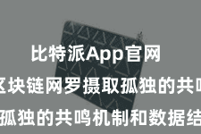 比特派App官网 由于每个区块链网罗摄取孤独的共鸣机制和数据结构