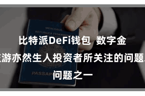 比特派DeFi钱包  数字金钱交游亦然生人投资者所关注的问题之一