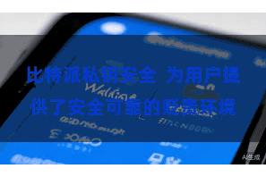 比特派私钥安全  为用户提供了安全可靠的贬责环境