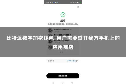 比特派数字加密钱包  用户需要盛开我方手机上的应用商店