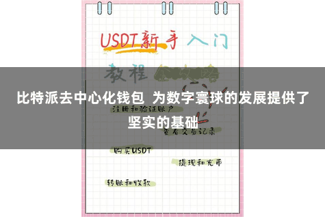 比特派去中心化钱包  为数字寰球的发展提供了坚实的基础