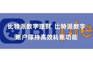 比特派数字理财  比特派数字账户撑持高效转账功能