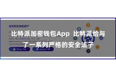 比特派加密钱包App 比特派给与了一系列严格的安全法子