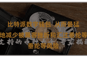 比特派数字钱包  从而最猛过程地减少被黑客挫折和汇注垂纶等风险
